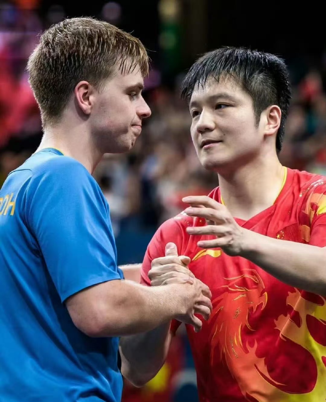 瑞典队完胜葡萄牙队,樊振东高光表现 瑞典队完胜葡萄牙队,樊振东高光表现