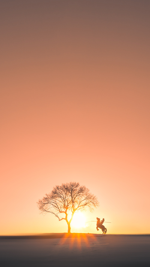 太阳西沉达拉斯？不，是费城大帝的权杖碾过独行侠的黄昏