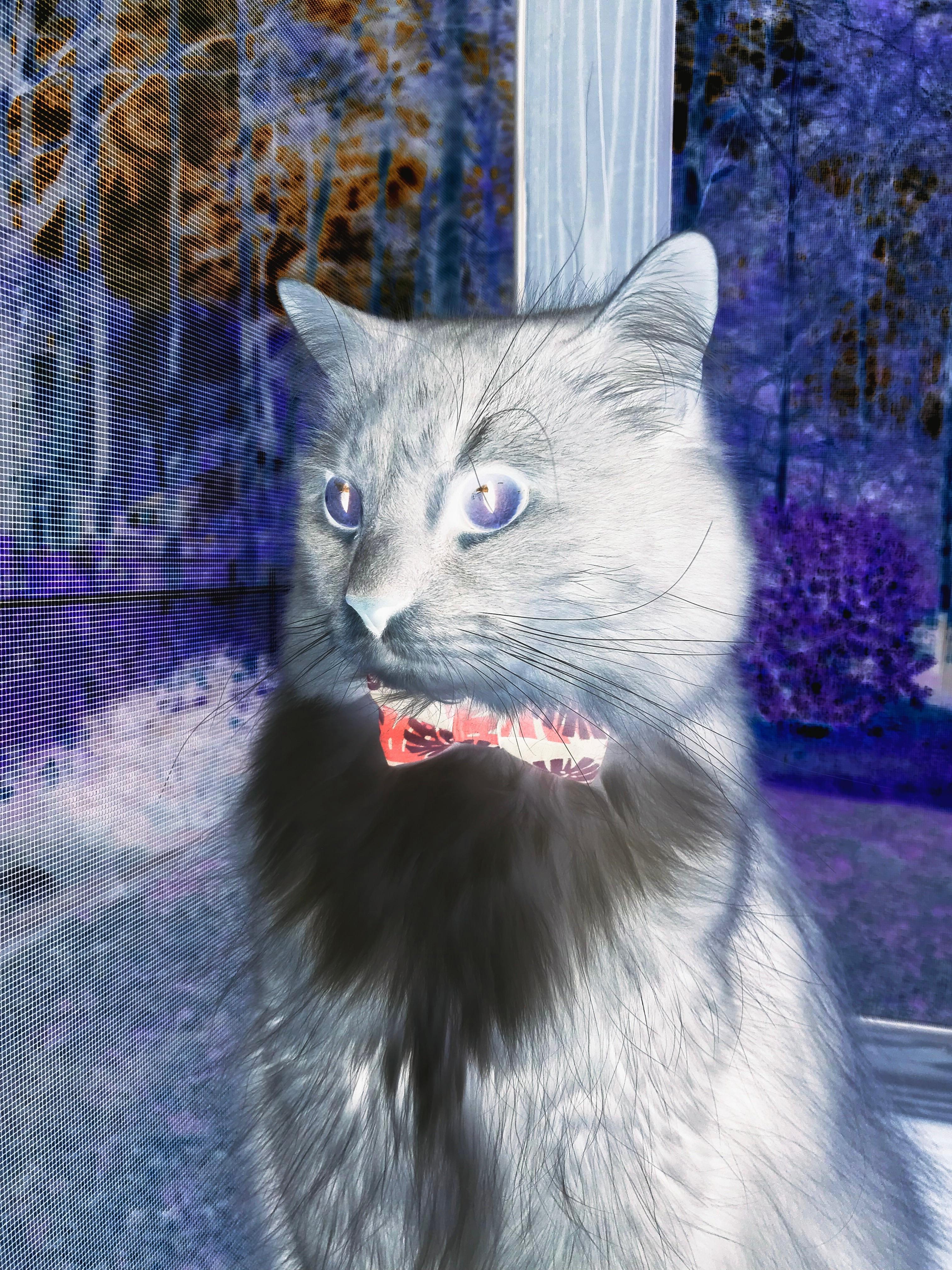 沉寂中的利剑，卡瓦哈尔一球掀翻拉齐奥，西班牙逆流而上