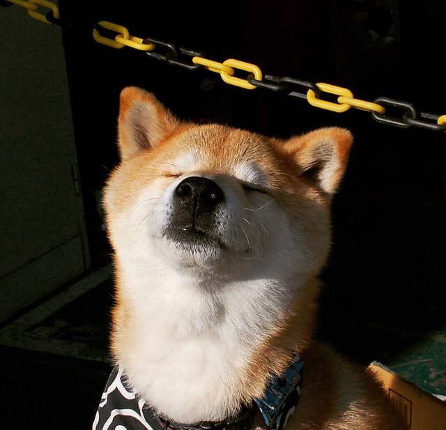 洪都拉斯血拼苏格兰，帕尔默用一记加勒比海风般的传球，冰封北大西洋寒流