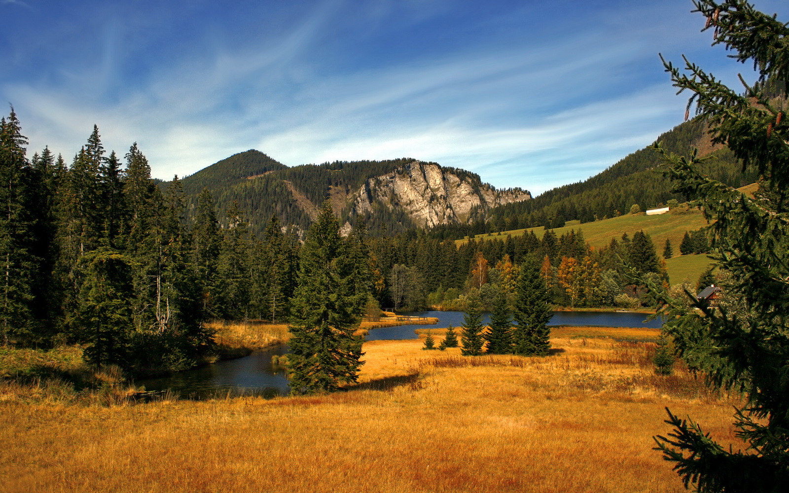 双线聚焦，F1街道极速缠斗与掘金攻克辽篮，诠释何为现代竞技的终结艺术