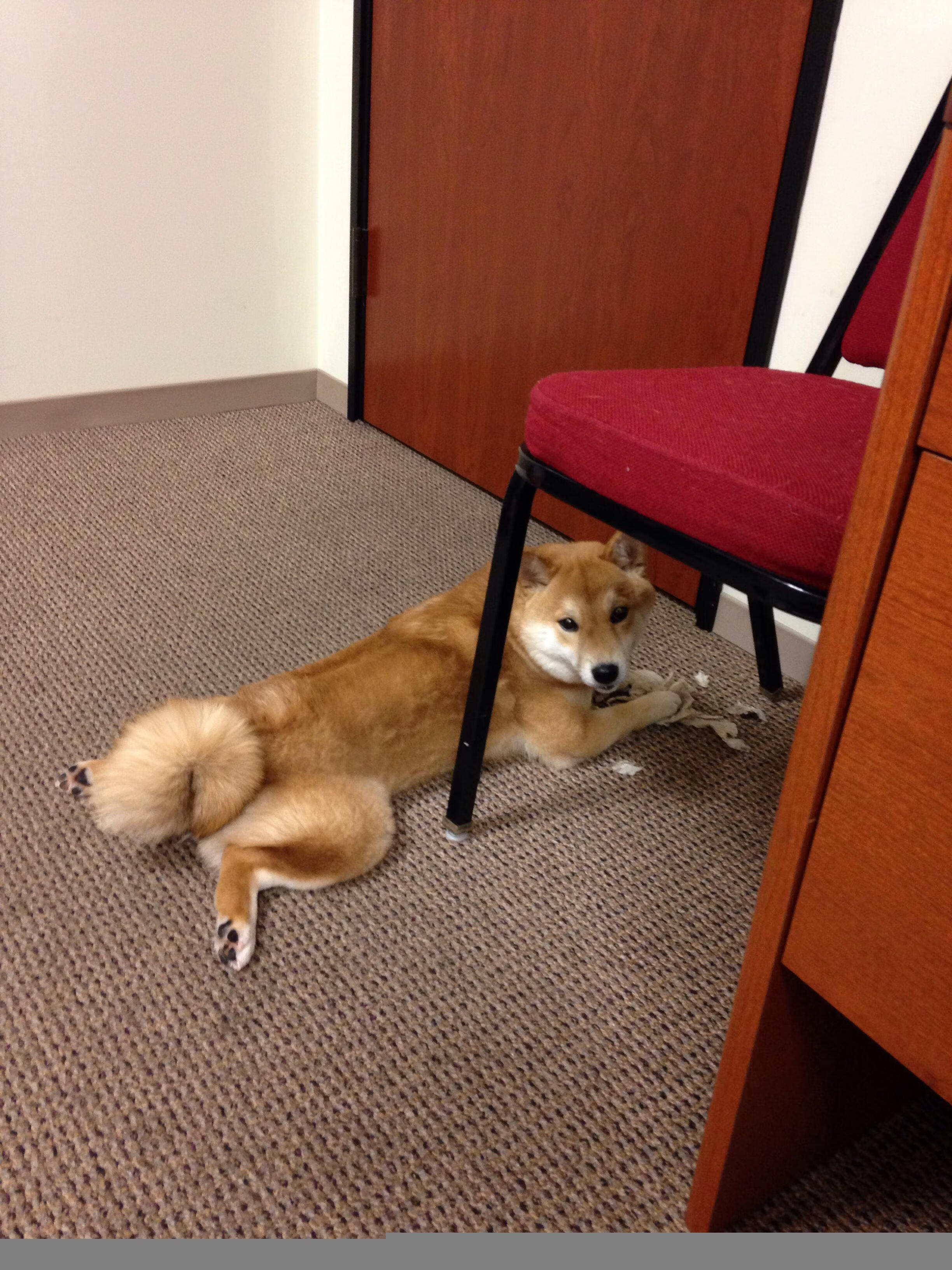 入侵者，当库里在从未属于他的东决之夜成为唯一焦点