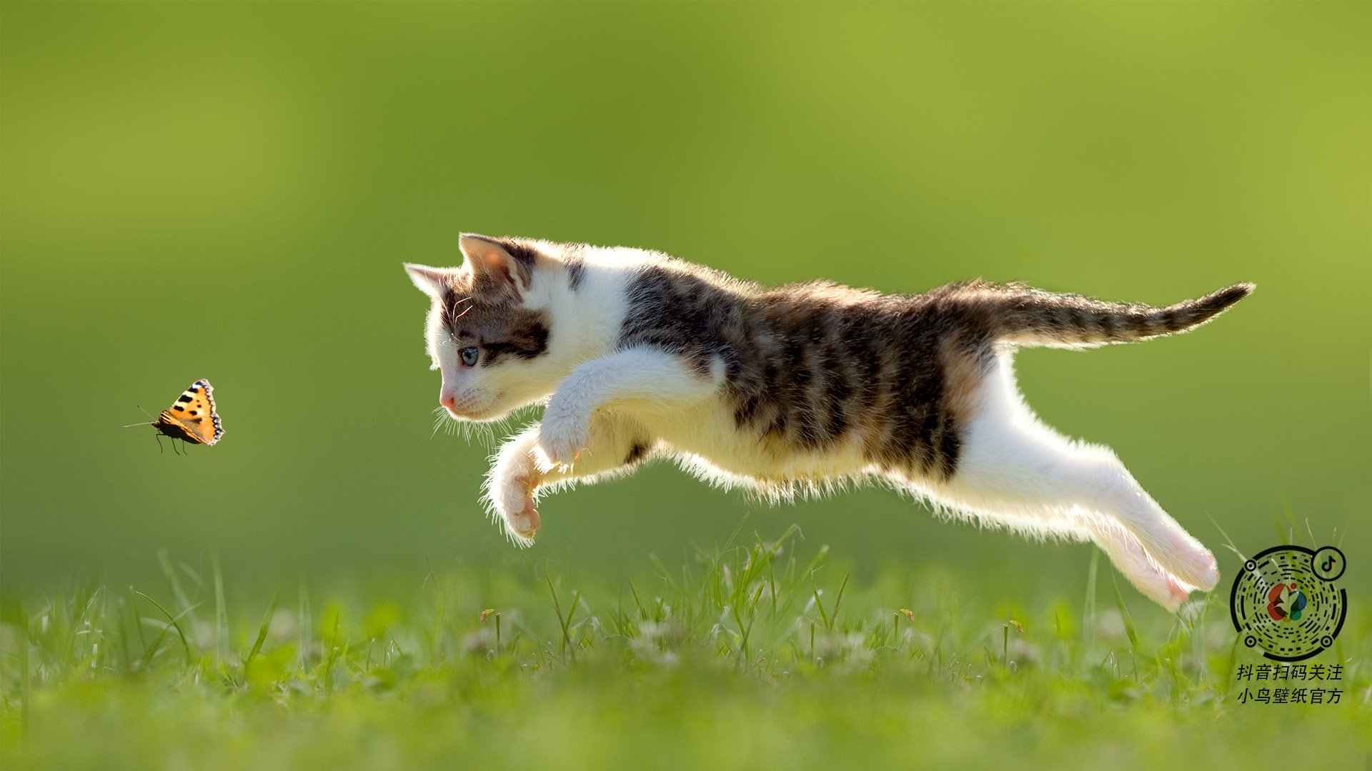 埃及对阵伊拉克,莱奥超神之夜,以一己之力点燃绿茵圣火!