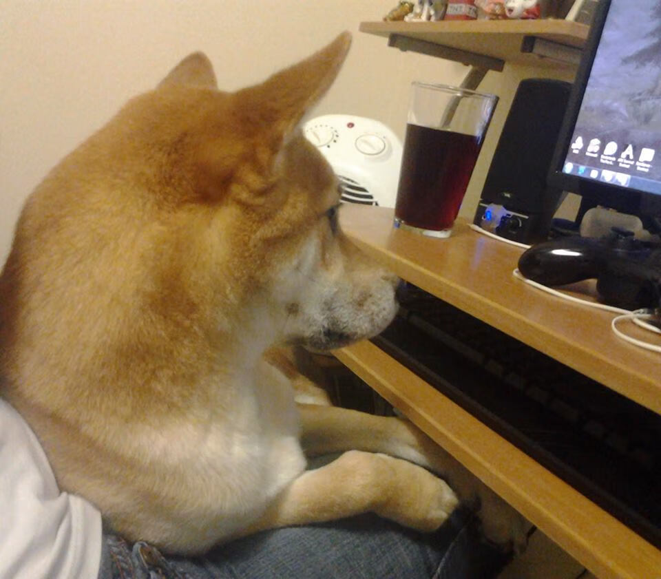 两场战役，一个传说，库尔图瓦的欧洲与伊比利亚守护史