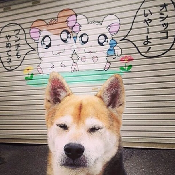 高地风暴席卷红牛竞技场，无名门将门迪如何用一双铁手写下苏格兰足球史诗