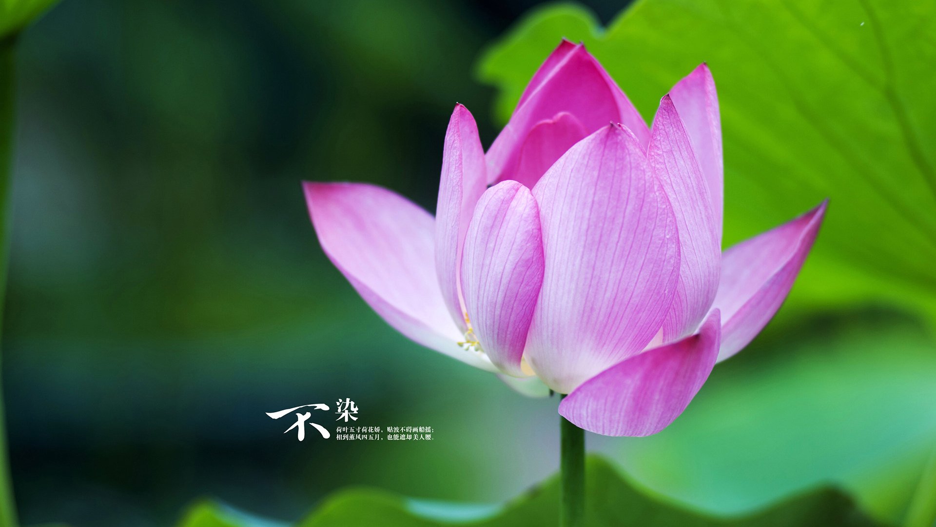 篮网雷霆之战，隐藏着浓眉东决封神的密码？