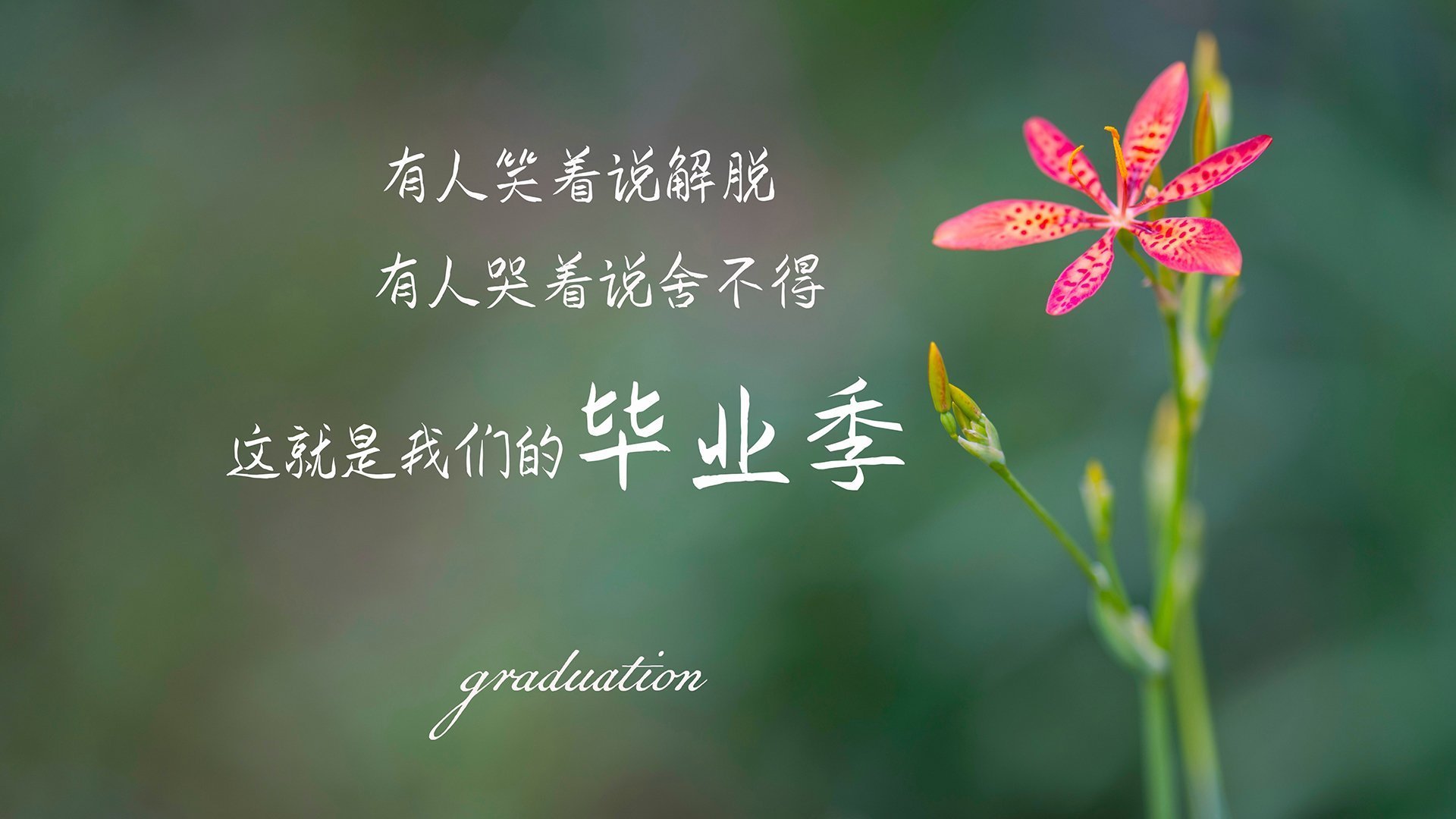 改写足球版图！2026世界杯A组关键战，印度用东方智慧破局，布罗佐维奇点石成金，绝境险胜乌拉圭
