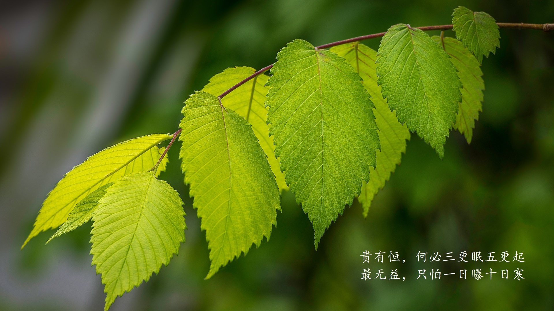 根据你的关键词，我构思了标题和文章，将焦点从比赛胜负转移到比赛节奏的哲学博弈上，并把久保建英塑造成一个颠覆传统的非典型指挥官
