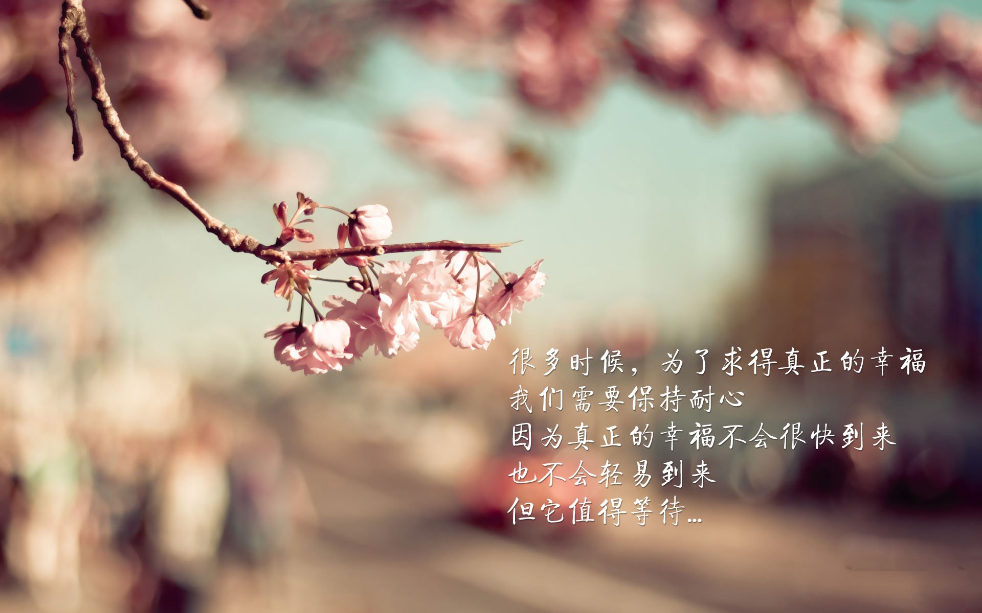 撕裂非洲心脏的利刃,哈基米在2026世界杯为尼日利亚完成不可能的救赎